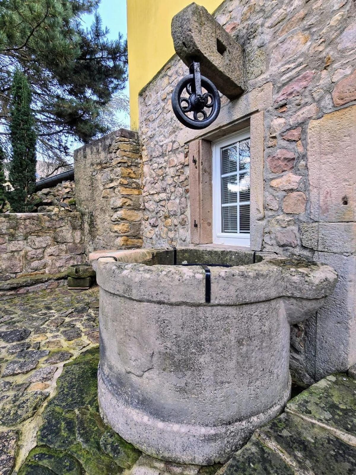 Studio Route Des Vins D 'Alsace Eichhoffen Екстер'єр фото